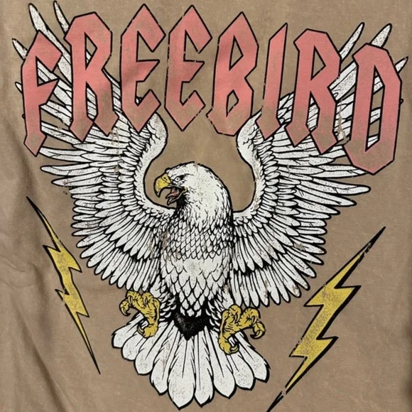 Freebird Eagle Graphic Taupe Mineral T-Shirt Tee Shirt Mini Relaxed Fit Dress - Picture 2 of 2